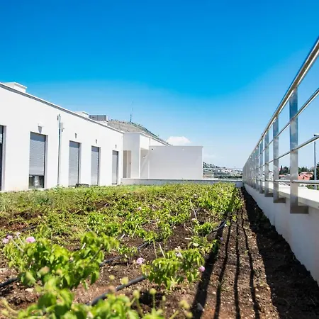 Apartamento Eluize Residence *